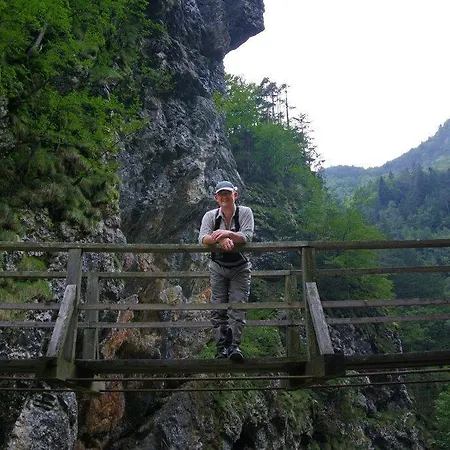 Farm Bukovje مزرعة للإقامة