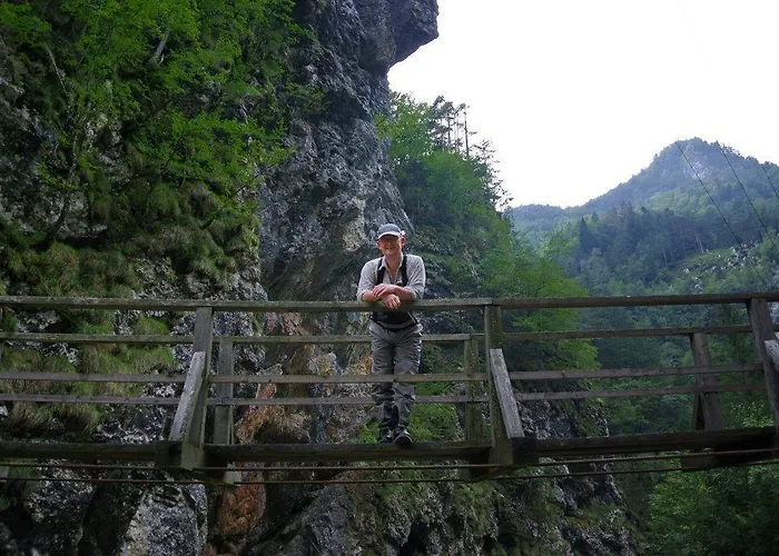 Farm Bukovje Gospodarstwo agroturystyczne