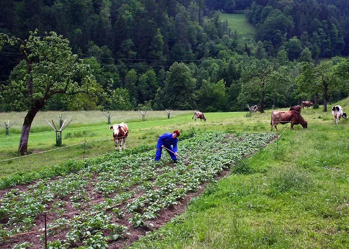 Farm Bukovje *